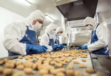 Jobs in Food Innovation